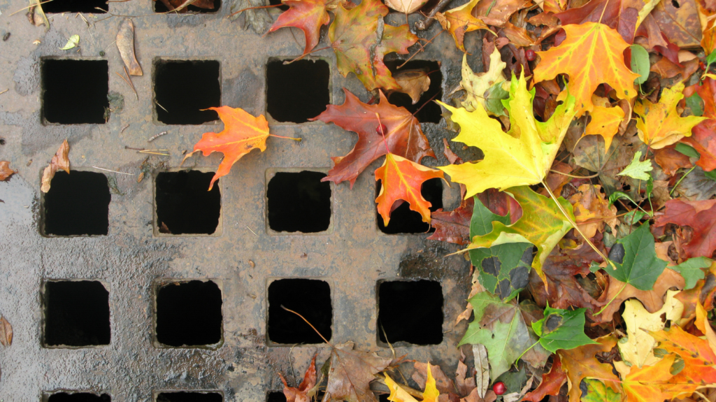 Falling leaves blocking drains? Don’t let it lead to flooding TIC